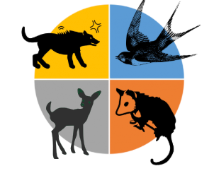 #4 Understanding Trauma Responses: How Childhood Neglect Shapes the 4Fs