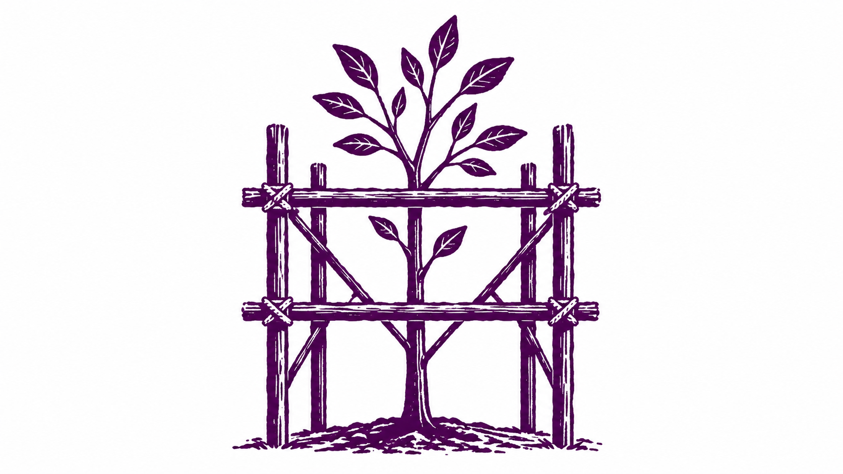 Image of garden scaffolding around a seedling